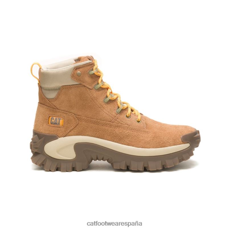 Caterpillar bota de capa intrusa azúcar morena hombres 4JJT8179 | botas casuales
