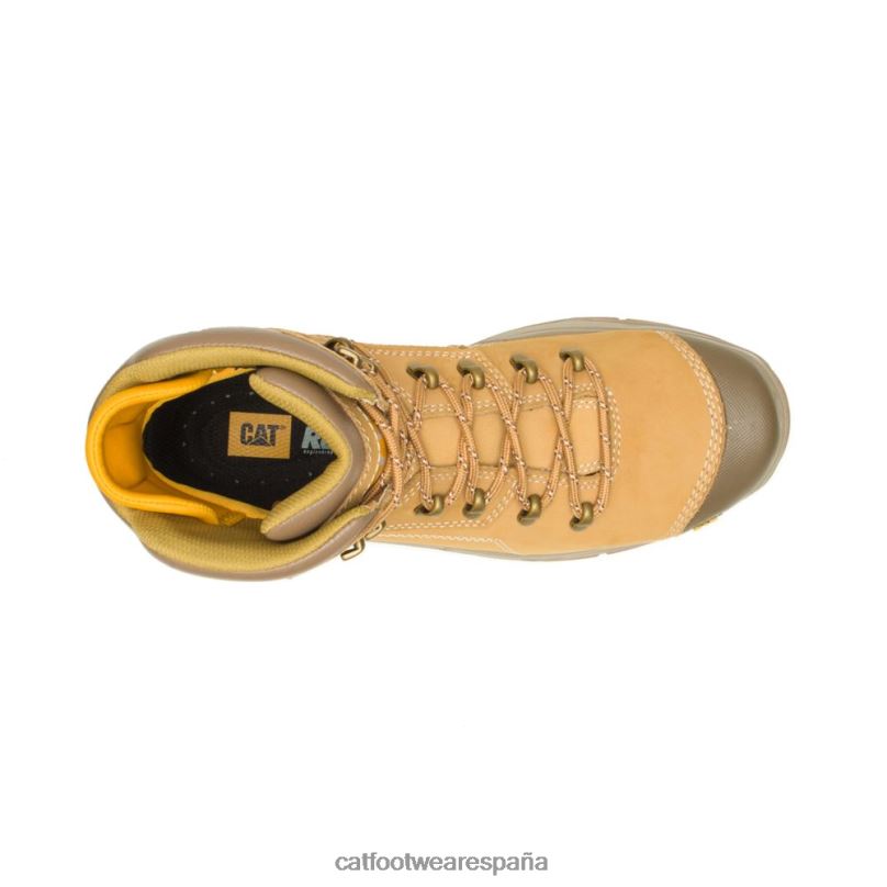 Caterpillar Bota de trabajo impermeable con punta de acero Diagnostic 2.0 reinicio cariño hombres 4JJT824 | botas de trabajo