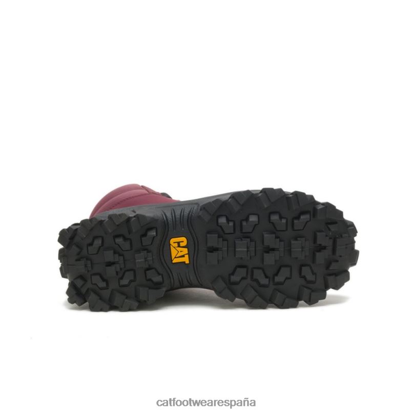 Caterpillar chanclo impermeable a la intrusión vino negro/windsor hombres 4JJT8174 | impermeable