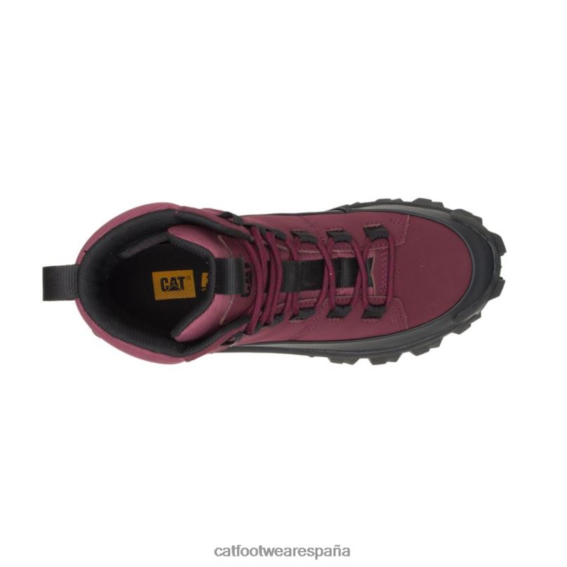 Caterpillar chanclo impermeable a la intrusión vino negro/windsor hombres 4JJT8174 | impermeable