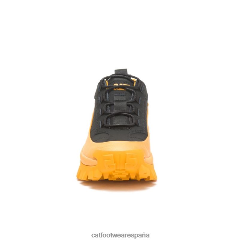 Caterpillar chanclo impermeable para intrusos gato amarillo/negro hombres 4JJT8123 | impermeable