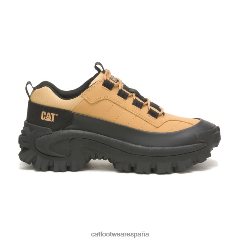 Caterpillar chanclo impermeable para intrusos negro/dulce hombres 4JJT8122 | impermeable
