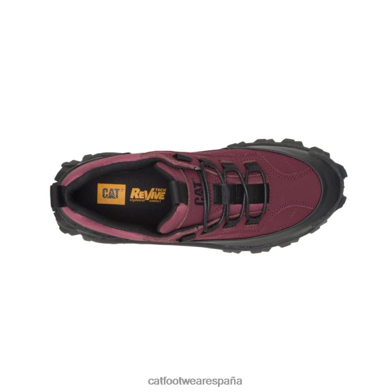 Caterpillar chanclo impermeable para intrusos vino negro/windsor hombres 4JJT8124 | impermeable