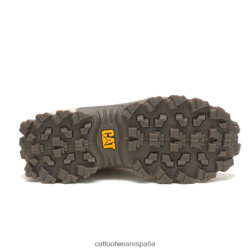 Caterpillar zapato intruso gris musgo/oropéndola hombres 4JJT8138 | zapatillas casuales gruesas