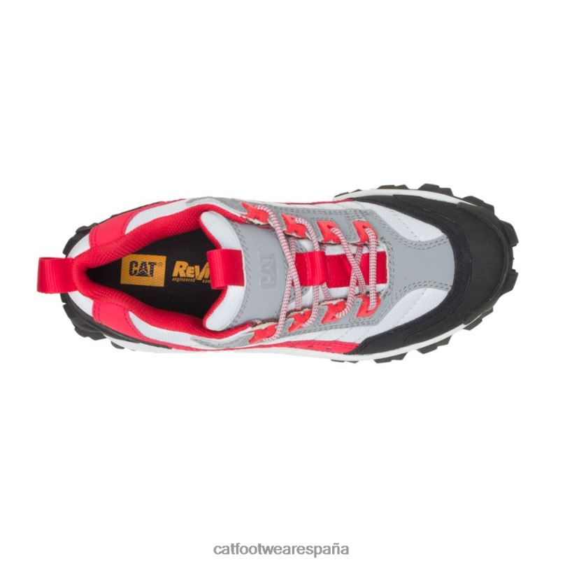 Caterpillar zapato intruso tomate/paloma salvaje hombres 4JJT8135 | zapatillas casuales gruesas